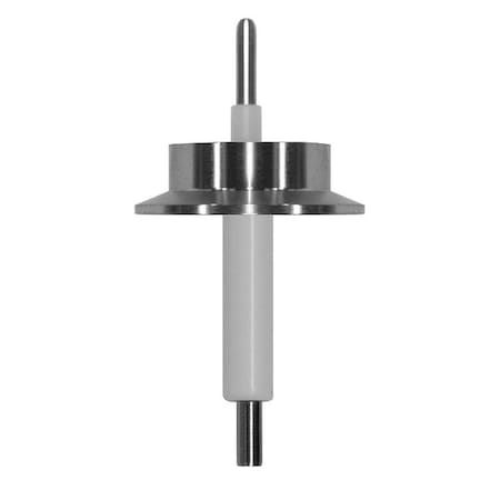 Lumenite DCFT2 Liquid Level Probe, SS, 12