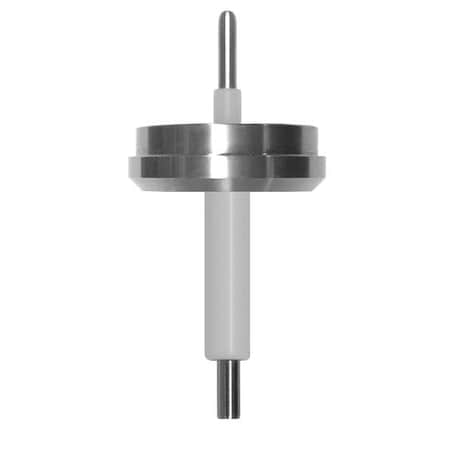 Lumenite DAFT2 Liquid Level Probe, SS, 12