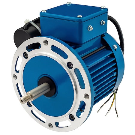 American Stainless Pumps M1.0T11G-JH1 Motor, 1 HP, 3,420 rpm, 56J, 115/230V