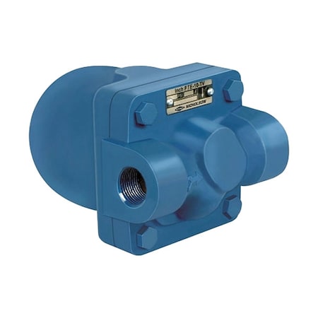 Nicholson 3/4 FTE-65 Steam Trap, Stainless Steel, 65 psi, 3/4 in