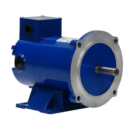 Weg MT-069 DC Permanent Magnet Motor, 56C