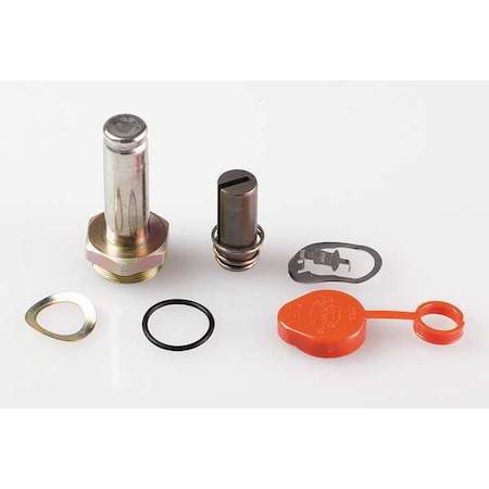 Asco 304354 Valve Rebuild Kit, With Instructions