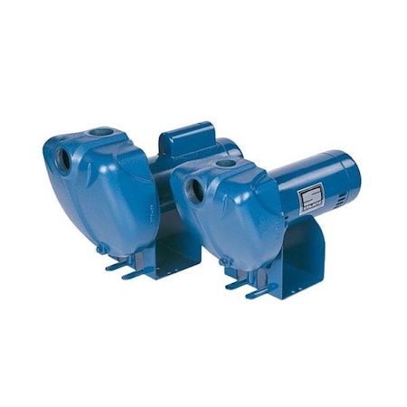 Pentair STA-Rite DS3HE-01 CentrfPmp, 1 hp, CI, 1.5