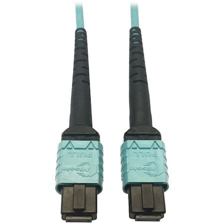 Tripp Lite N846D-01M-24AAQ Fiber Cable