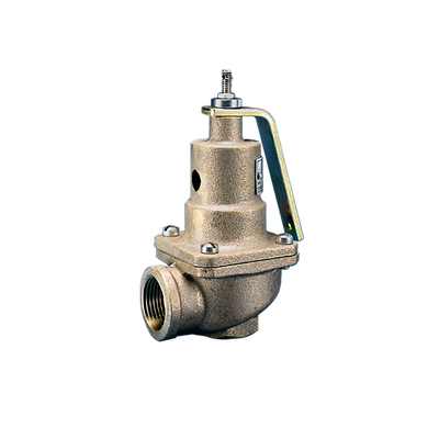 0537-E01-HM0060 Kunkle Valve Check Valve 1 in x 1.25 in 60# 2788 pph Steam